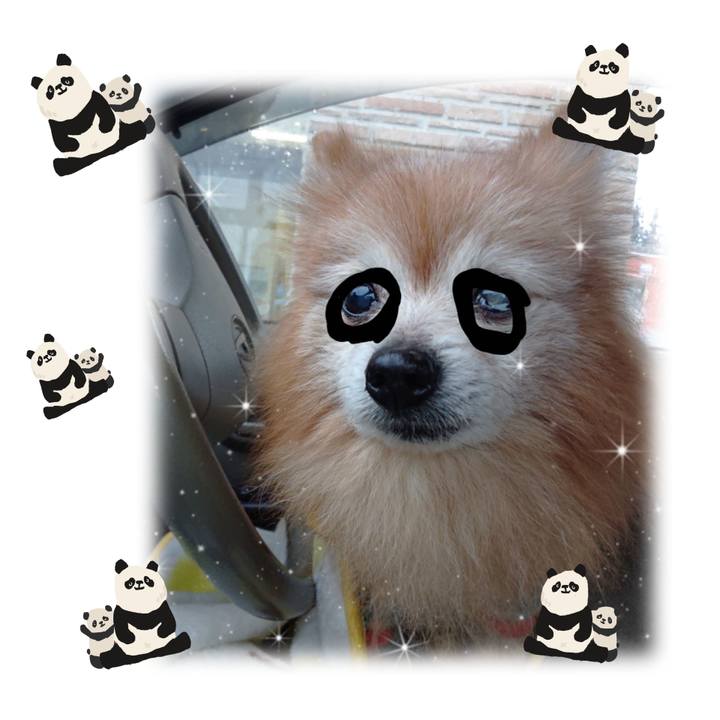 63394533 9337 4c57 9d1d 331f07776690 1644618791383