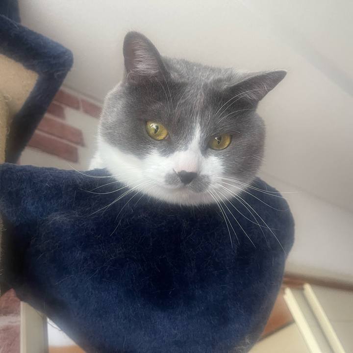 63394801 6a59 44f1 92ec 62d5709d3a82 1654403039479