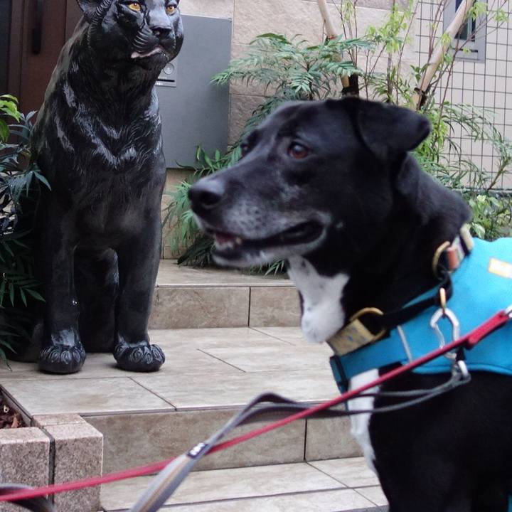 6339503b 84a5 4738 8971 8a6e1982589a 1719830899487