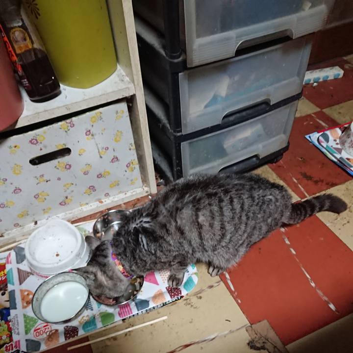 6339a624 08ff 4182 bc99 659aa16ccd7a 1589572882432