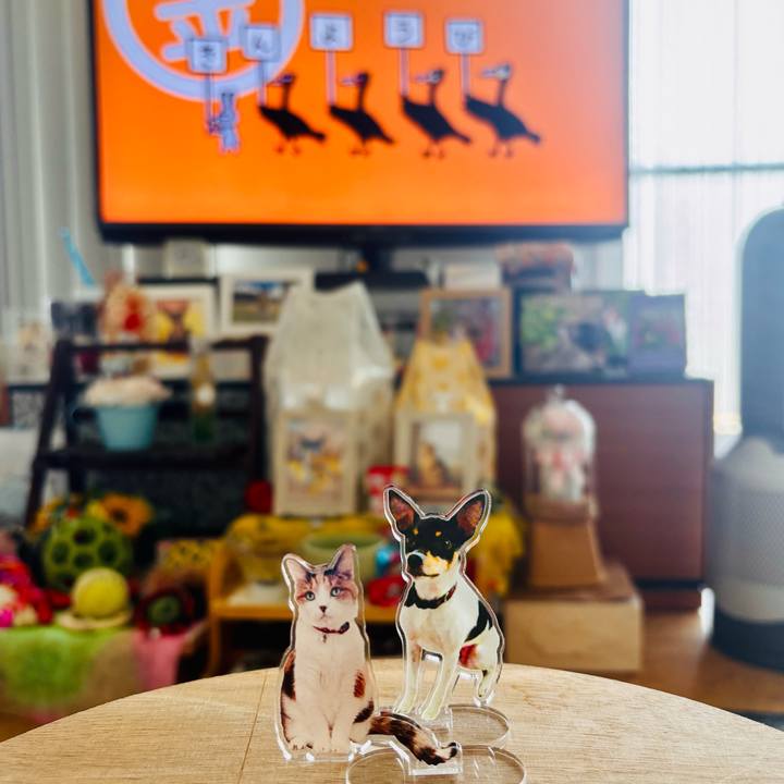 6339cf44 67ca 4e71 bd2b f90591d3a160 1749161092030