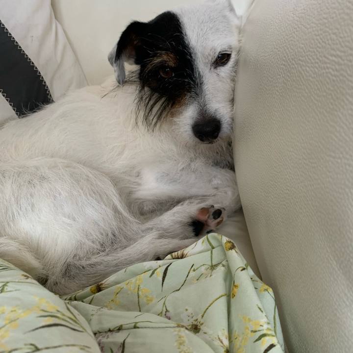 6339de42 92ce 4f5d 8f60 ddf39f83cf6f 1656910528961