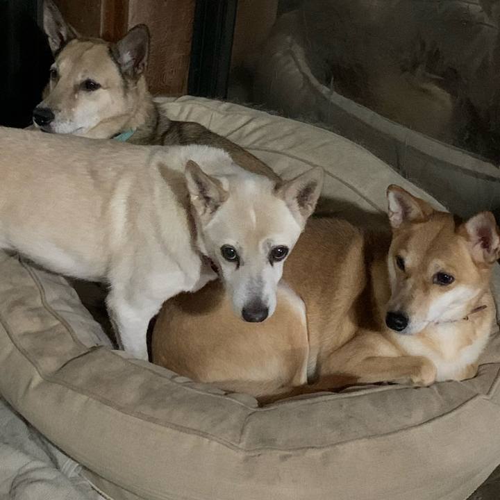 6339e14c f9cd 4af6 8c54 639300827e51 1667707822806