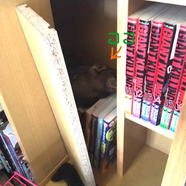 6339f405 7d2e 40eb 95d8 0d74708bc8ae 1547011968286