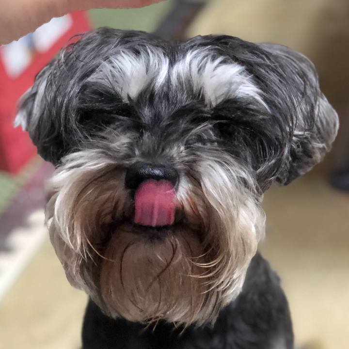 633a101f 2ff8 4be0 8469 bcc27284b6d7 1554387257486