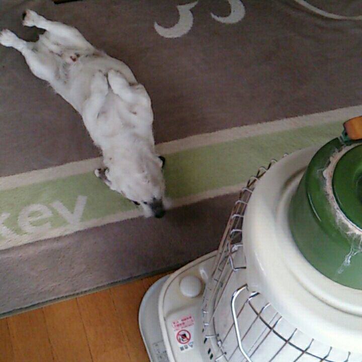 633a1338 9d45 4f97 b7a7 45d87be0274e 1516922809341