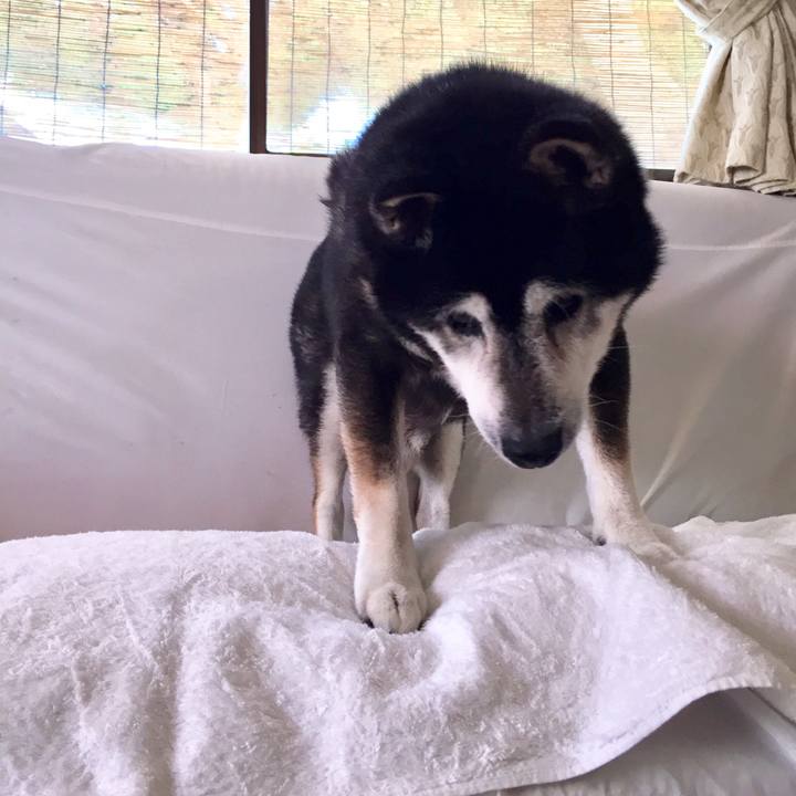 633a2d52 5c23 4551 9a52 4fffc5465a7b 1547015256655