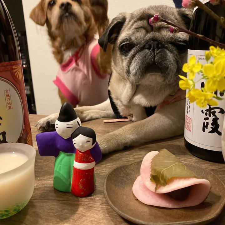 633a4a0e e477 4a91 a69e bc45aeb037c1 1614762403461