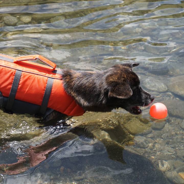 633a538b d16e 4bcb 9fdd 6a18cce50d9b 1565928015391