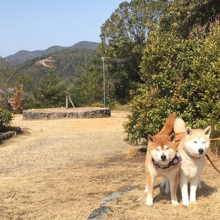 633a6fed 6dc8 41b2 b6f5 f627e515c9b2 1521155990241