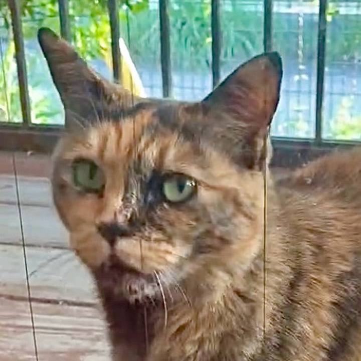 633a95bd 7871 445d 8809 8c696b925a58 1747215691536