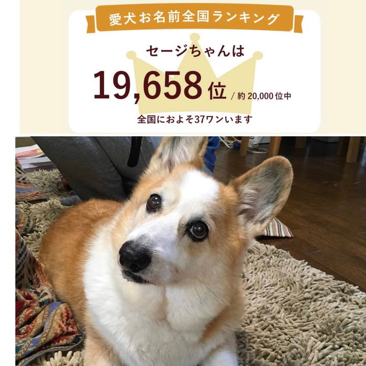 633acfc2 1f66 478d 8f8f ba994722b3e4 1684635844952