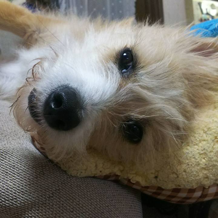 633b1b2f f72d 413a b5b4 29bb7c0943b8 1511876887165