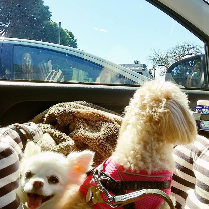 633ba66c 3a7b 41cb acb4 f48371490d90 1603526985928