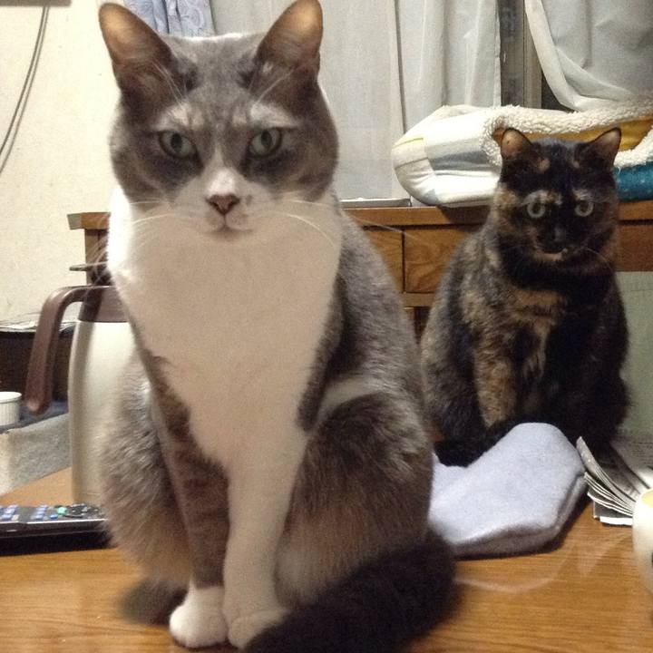 633be5c2 16d8 4b8d 8516 7f0ae665cbb7 1518700225959