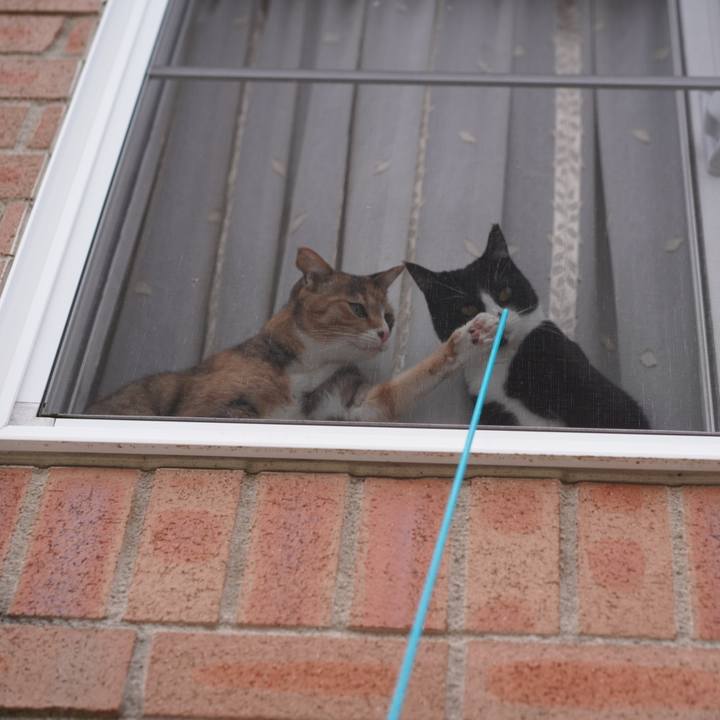 633bf87b ad1d 47f0 b9b9 9c6b76173576 1649890380280