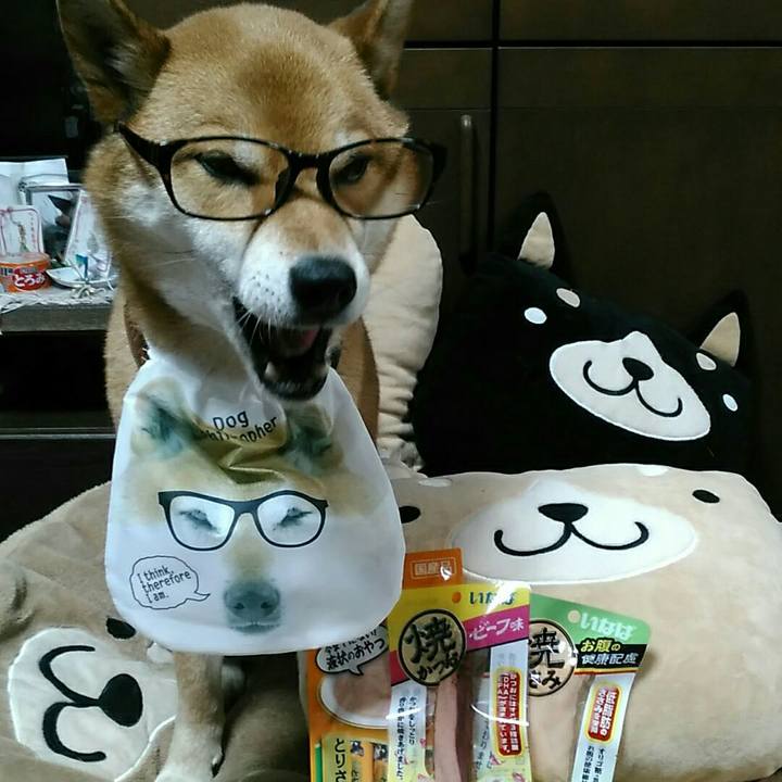 633c0854 2606 46a3 b34e 617812f91335 1550133169258