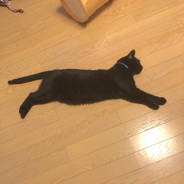 633c2c7b 8d44 49eb 921b fd03f36452f2 1558961085846