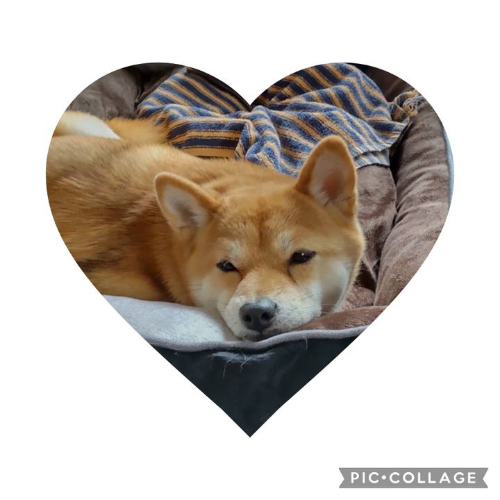 633c4bc6 a23e 488a 907f 4cfbf387960c 1674963508080