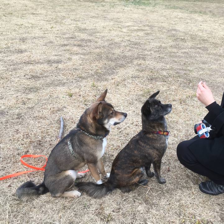 633c5654 4105 4044 82e0 b5bf7dedea57 1515072631051