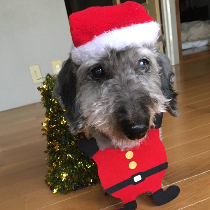 633c770e 363e 42a8 88e1 c3781b3f790b 1639984276180