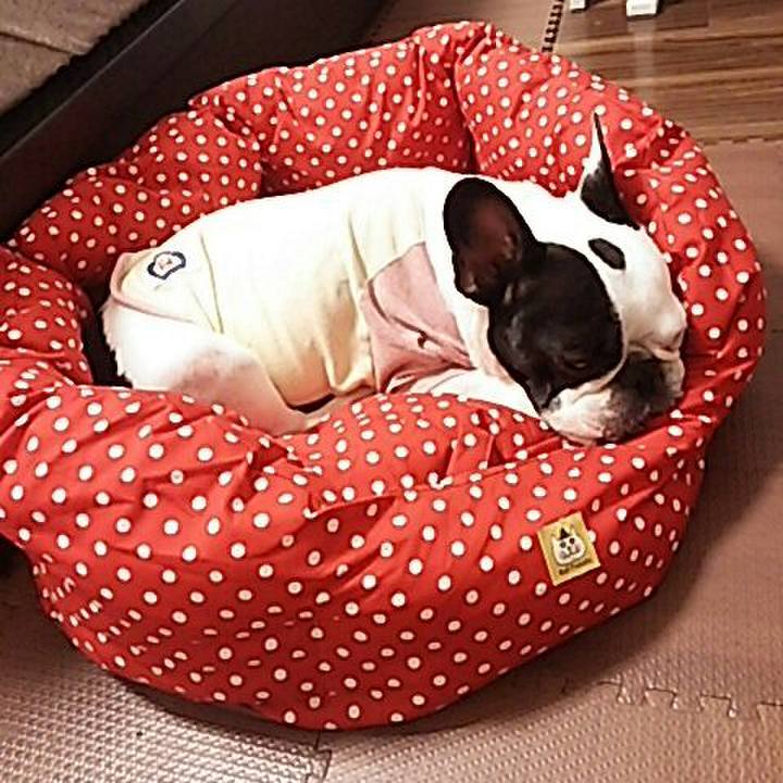 633c99eb cfb5 4c7a b7eb aa84e6bd558c 1536204094437