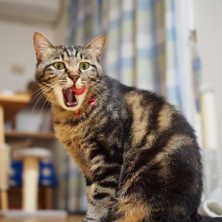 633ca4ae 22cc 4339 bbe6 d2e9d954dc88 1594736431154