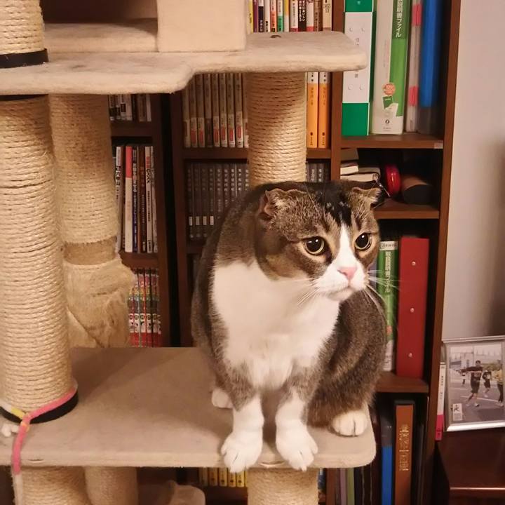 633cab7d 8332 4fe8 af28 35d116989734 1546870900811