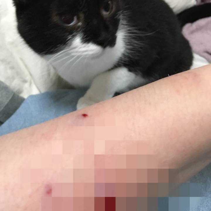 633ce61c 4e70 4c67 b6f4 f9aad0efe592 1574820796164