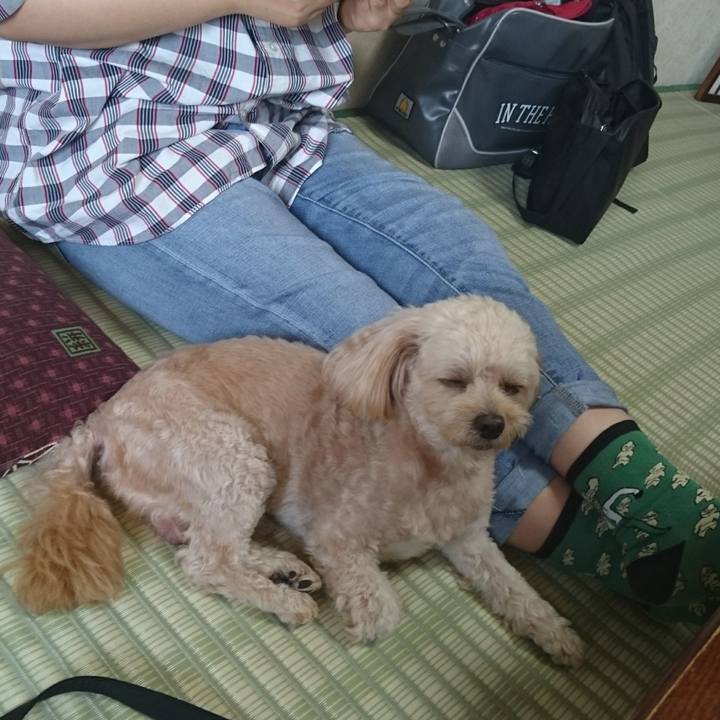 633d1773 3950 48c6 b0e3 8c799e083f32 1534578736241