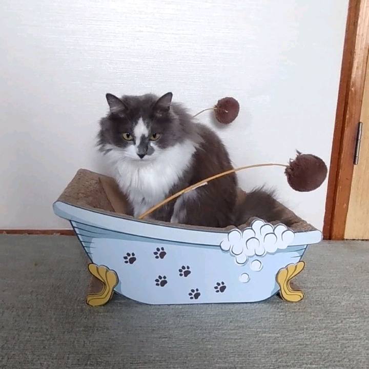 633d2db5 7333 45e6 af4d e5c5f3c87994 1654930969460