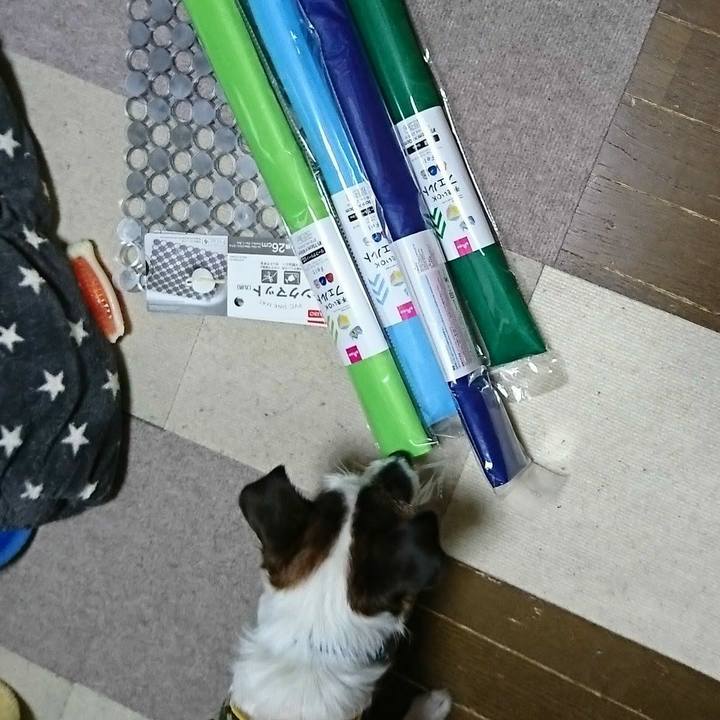 633d76ae f9f2 41d6 9ce5 a1eebceeb473 1583848532797