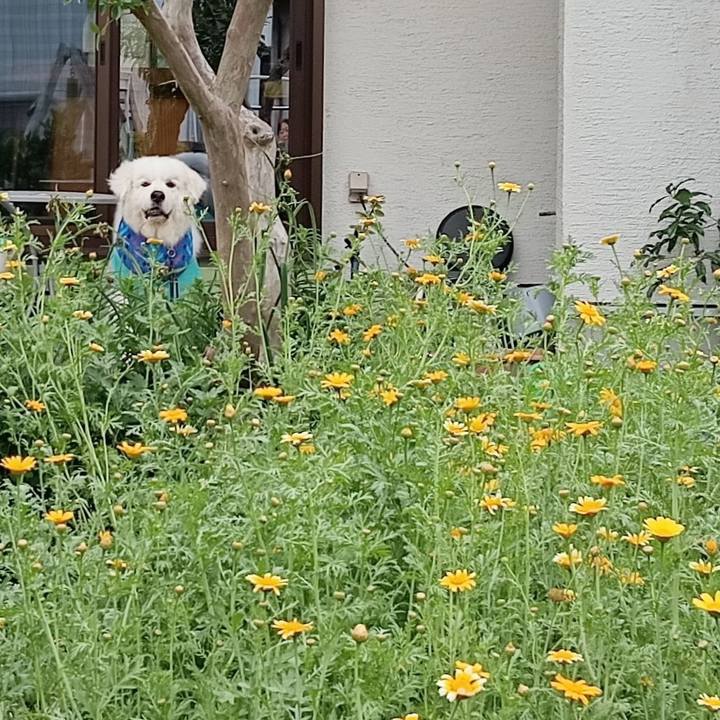 633d986e 415e 47d0 9439 9c1c8205d3af 1717155925312