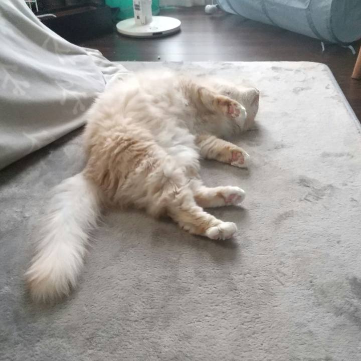 633daf71 e5d9 4f30 893a 5d8c46e60dac 1648258307003