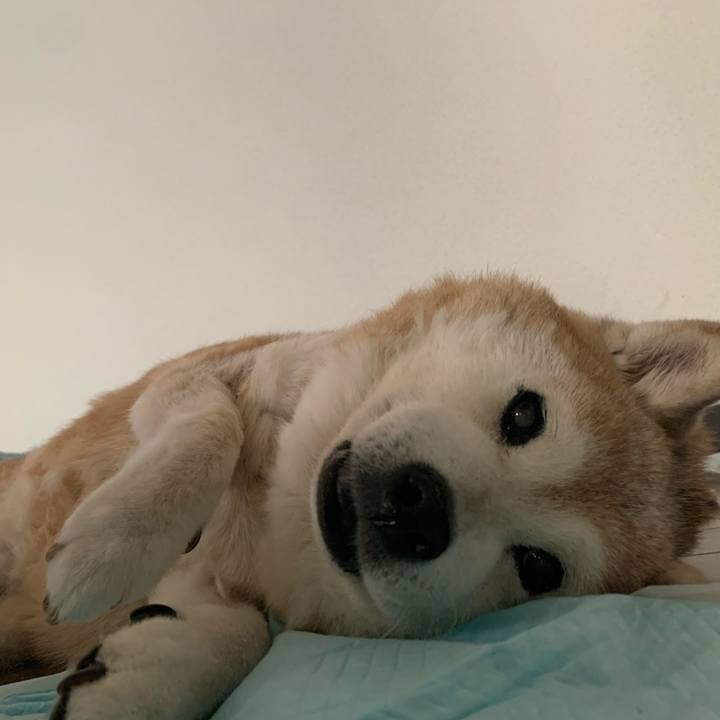 633dedf9 70c6 4a36 b7f9 312963019754 1689498406705