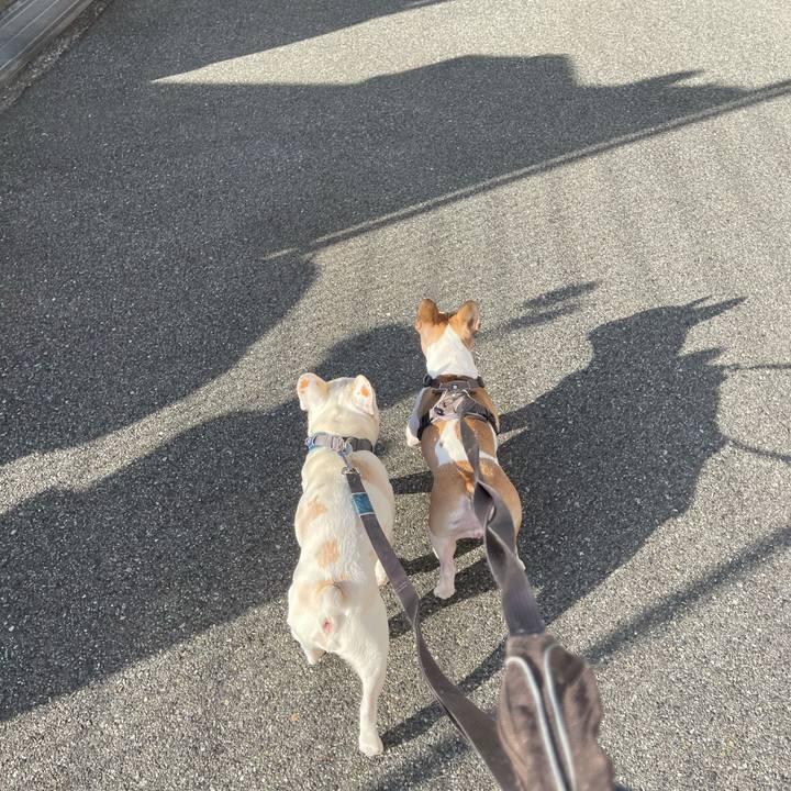 633df248 5b01 4849 9dac 07fd53ba5f6b 1606808931747