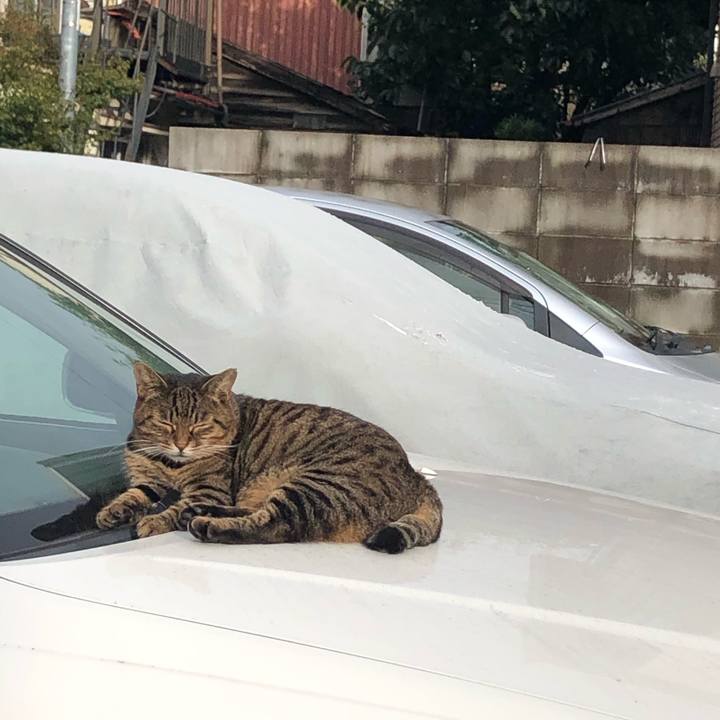 633e003b aaa9 4557 ba8e fe45ab4830f2 1569071408602