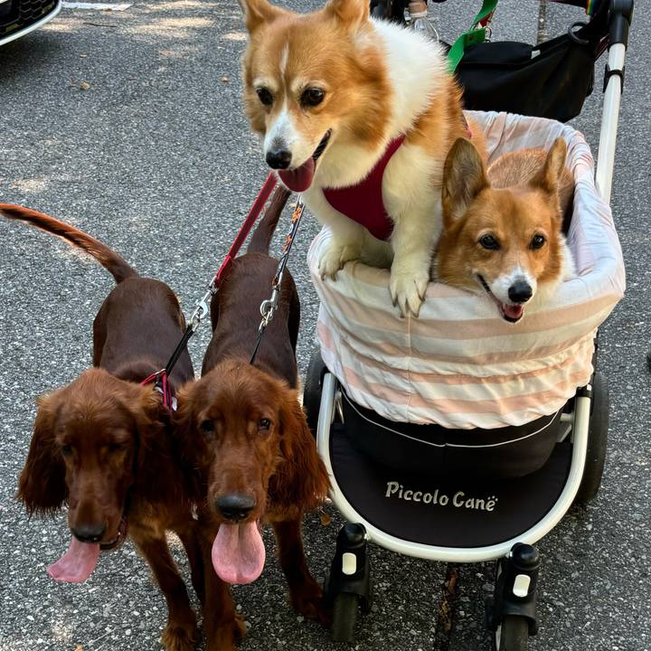 633e1a80 7a9c 4134 b01b a316b544aaf7 1727873259110