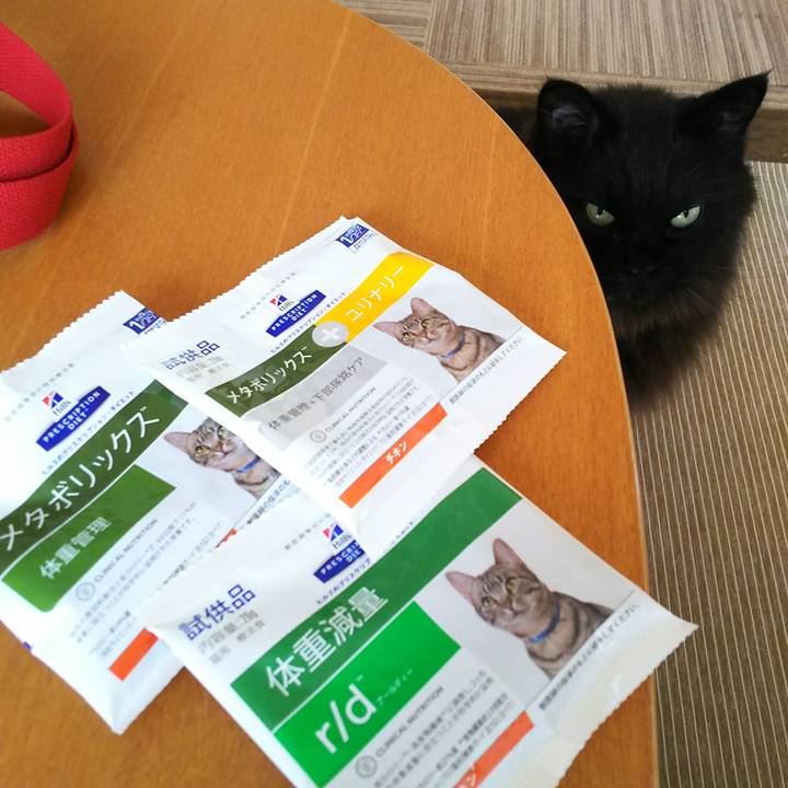 633e22e4 7d12 41f7 b8db 1490f547a7b4 1534820207246