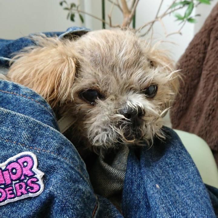 633e2452 a7ad 422d b4e0 42889f947c70 1622024853700