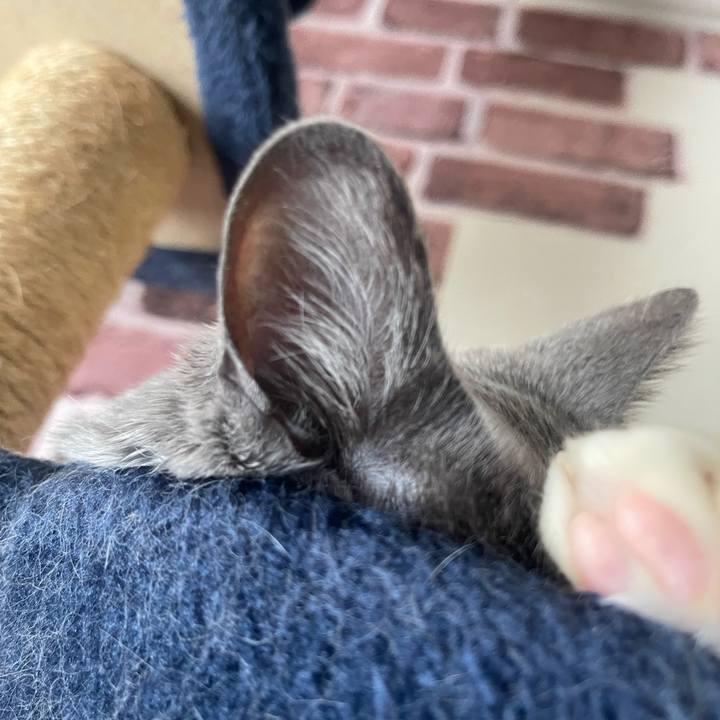 633e4123 9ca0 4a63 a385 e7ffc2cda3b4 1746229839228