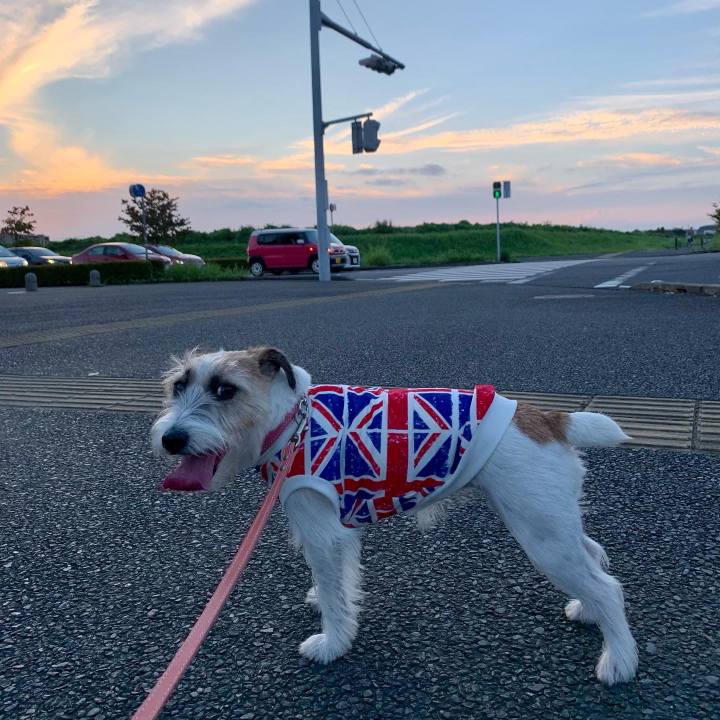 633e5fe3 8bc4 439f ac47 089a2e5c8d60 1662299053635