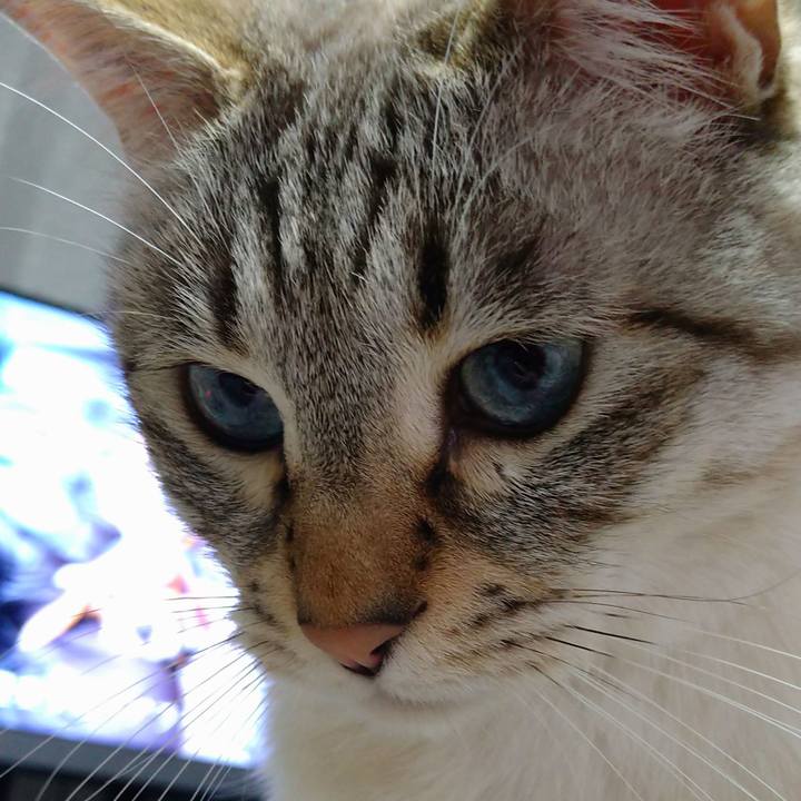 633e6ba0 50cd 465b ab2c a930f7ff0d14 1644670497655