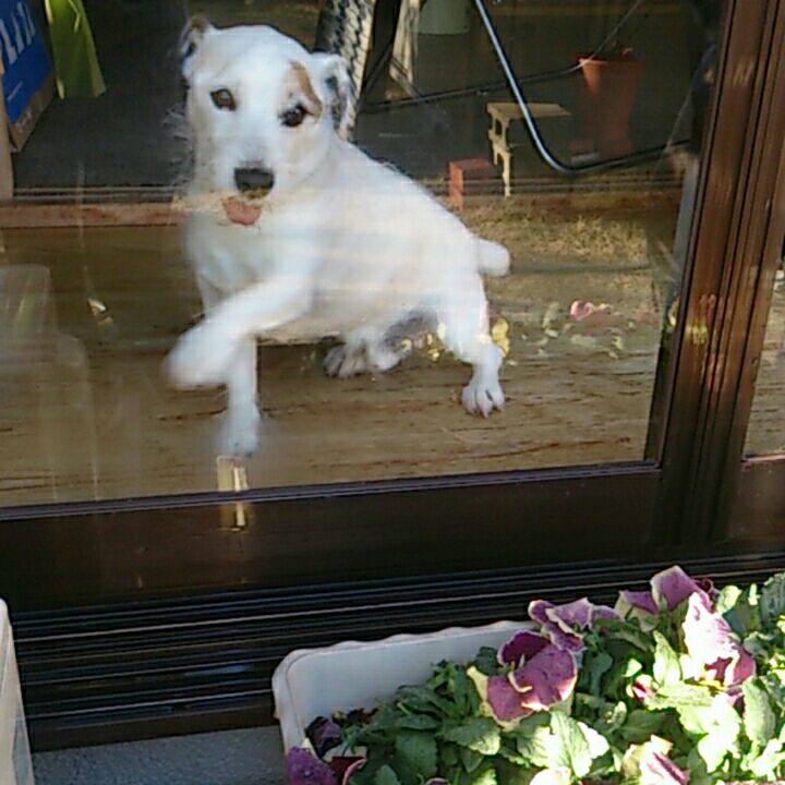 633e888b 07ed 4743 a431 c3f2f68ae719 1514588462352