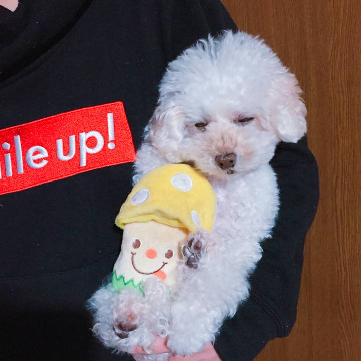 633e89fd e931 4406 8d67 105a4face22b 1511410124922