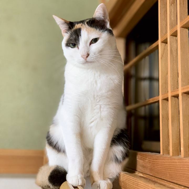 633e8a8e 6037 4f4d 9d5c 1fcf12dc7c8a 1538616718950