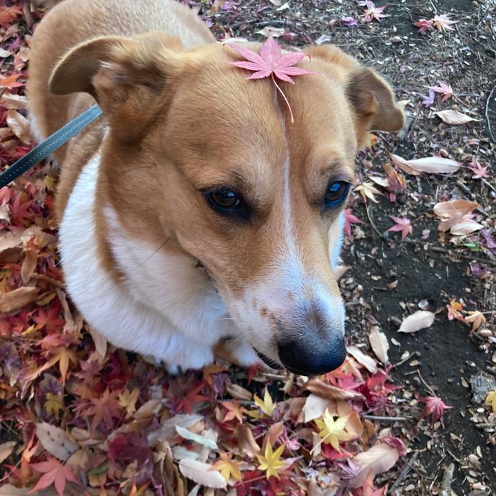 633e8b0c 48f8 4d94 979f e95672c1e86c 1734242529613