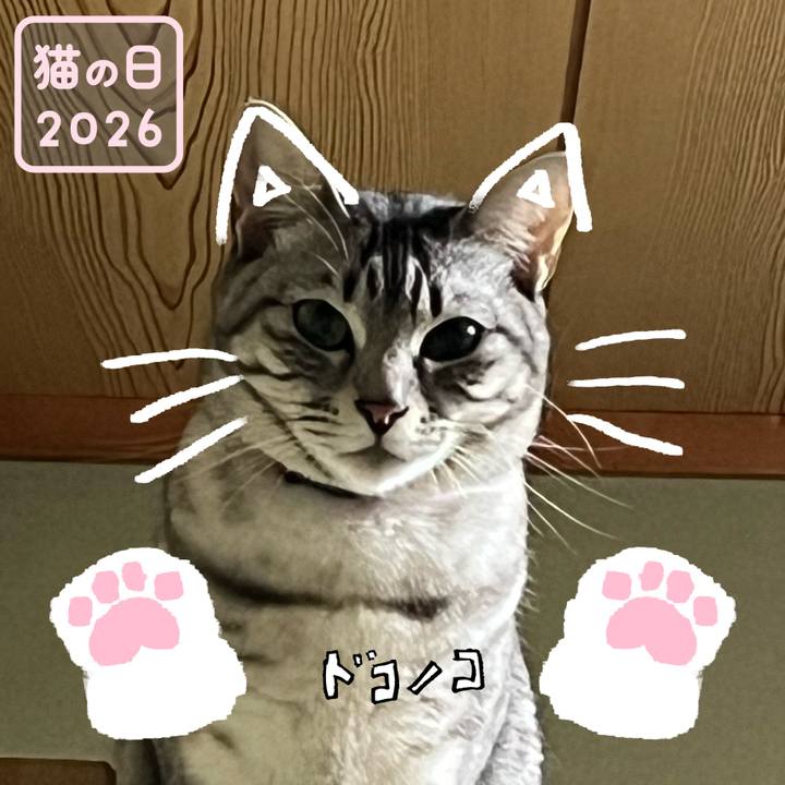 633eace0 ed4d 424b a689 e67f48fc071f 1771722553754