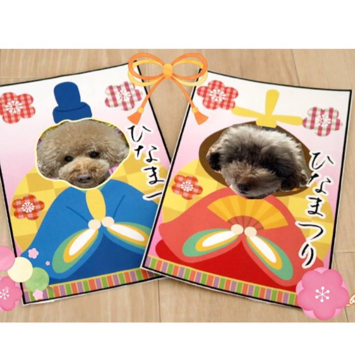 633ec638 0c38 43ad a796 16fb3476f6ea 1677841124829