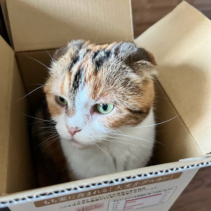 633f0f81 9418 4862 89d9 f7b8dcbeee94 1715948459773